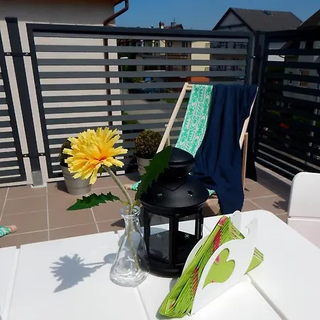 Orla * 米兹多洛杰